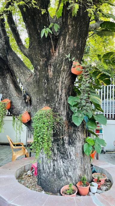 A Luxury Duplex In Dili City, Timor-Leste Ngoại thất bức ảnh