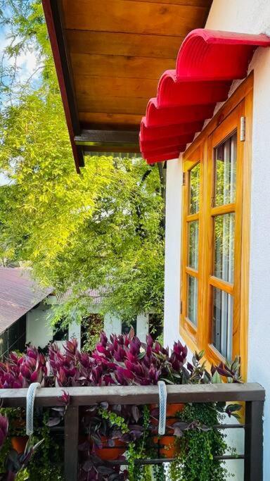 A Luxury Duplex In Dili City, Timor-Leste Ngoại thất bức ảnh